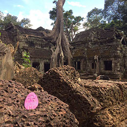 Klara Spc: Sydney Bondi Beach