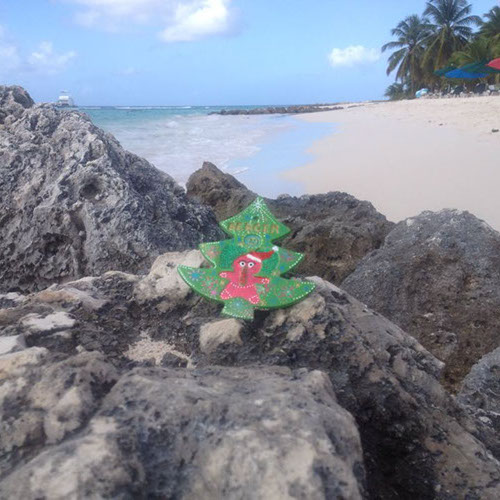 Klara Spc: Sydney Bondi Beach